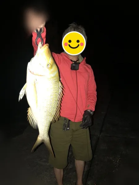 ヒットセンサー屋さんの釣果（タマン） 3枚目