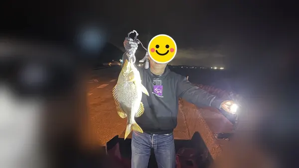 ヒットセンサー屋さんの釣果（タマン） 2枚目